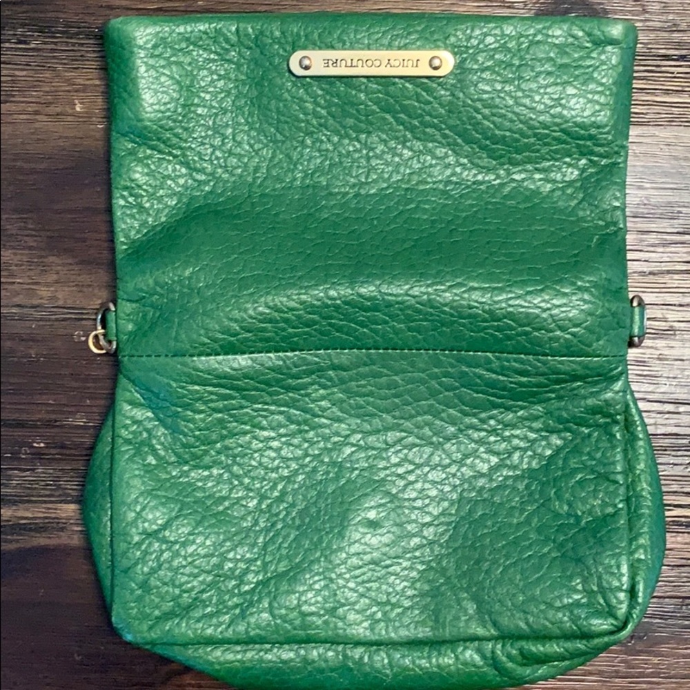 Juicy Couture small green leather purse/clutch - Picture 6 of 6